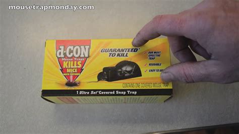 Does D Con Mouse Trap Work