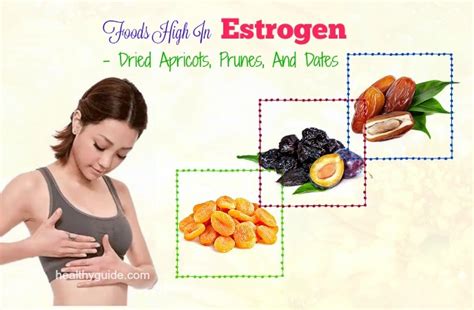 Does Dates Increase Estrogen Levels