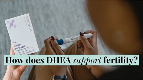 Does Dhea Increase Fertility