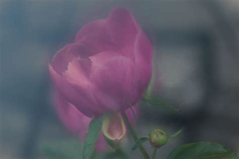 Does Digital Printing Fade