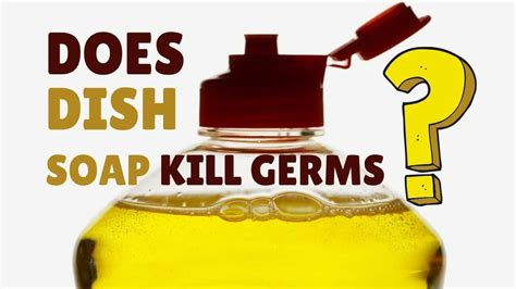 Does Dish Soap Kill Ringworm