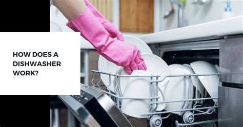 Does Dishwasher Really Work