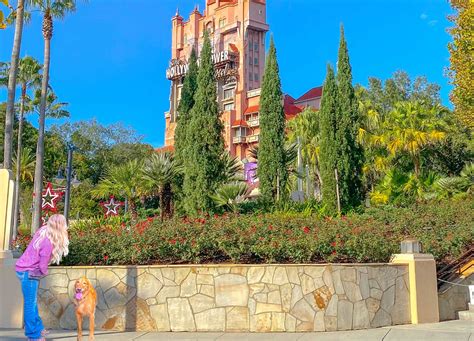 Does Disney Boardwalk Allow Dogs