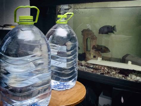 Does Distilled Water Work For Fish
