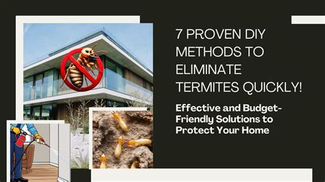 The Ultimate Guide to DIY Termite Control: Does It Really Work?