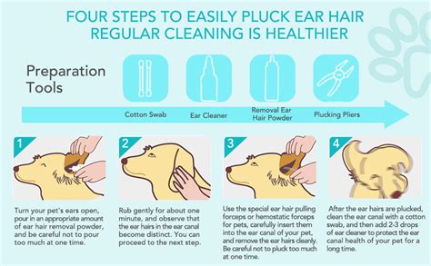Does Dog Ear Cleaner Expire