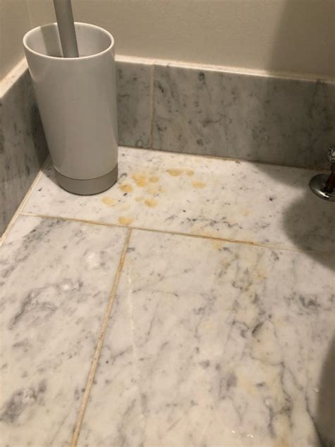Does Dog Pee Stain Marble
