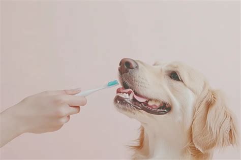 Does Dog Toothpaste Have Fluoride