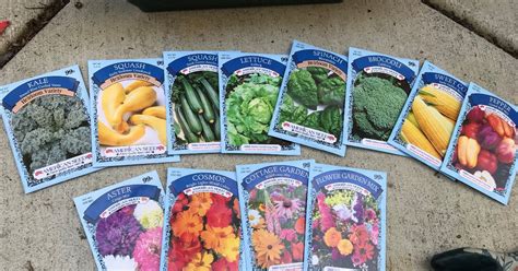 Does Dollar Tree Have Bird Seed