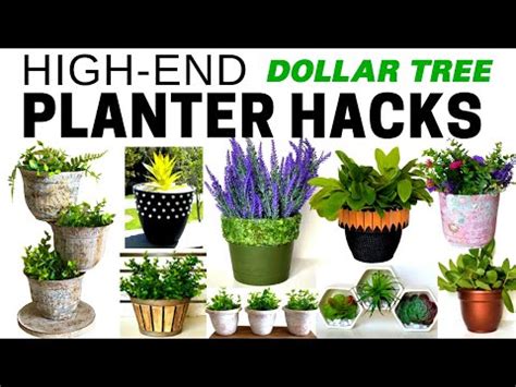 Does Dollar Tree Sell Planters