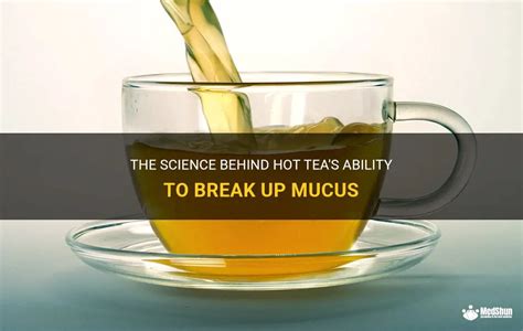 Does Drinking Hot Tea Break Up Mucus