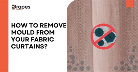 Does Dry Cleaning Remove Mould