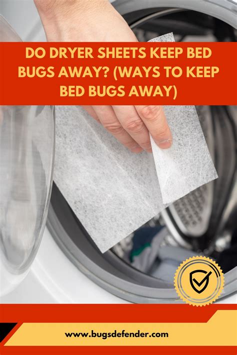 Does Drying Sheets Kill Bed Bugs