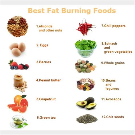 Does Eating Less Burn Fat