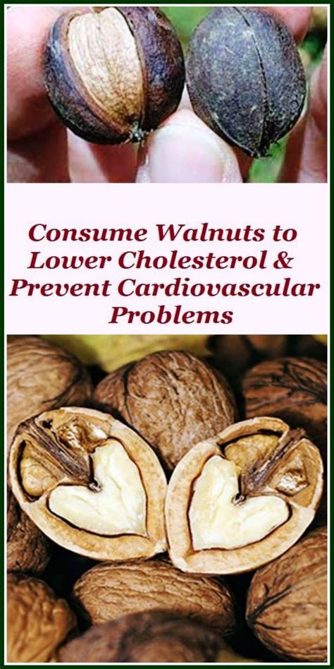Does Eating Walnuts Lower Cholesterol