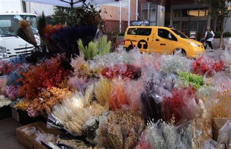 Does Ebt Cover Flowers