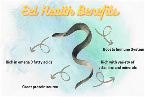 does eel have bone health benefits
