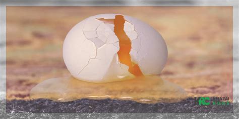 Does Egg Stain Concrete