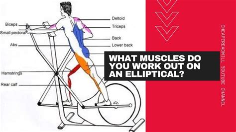 Does Elliptical Tone Legs