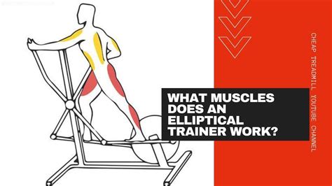 Does Elliptical Trainer Work