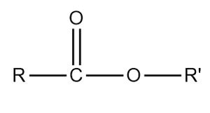 does ester have a carbonyl group