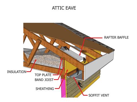 does eve mean attic
