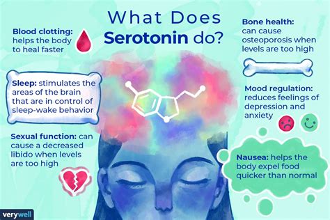 does exercise affect serotonin levels