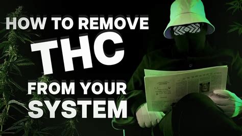 does exercise help remove thc from your system