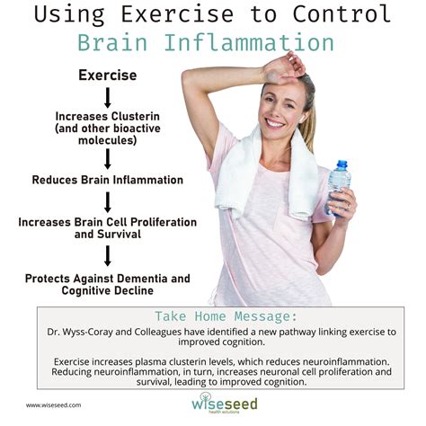 does exercise reduce inflammation in the brain