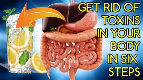 does exercise remove toxins from the body