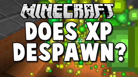 Does Experience Despawn