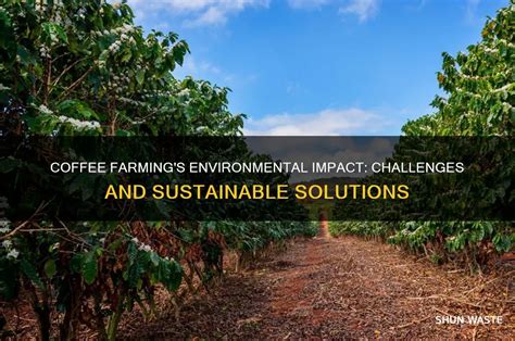 Does Farming Coffee Harm The Environment