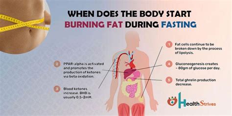 Does Fasting Help Burn Fat