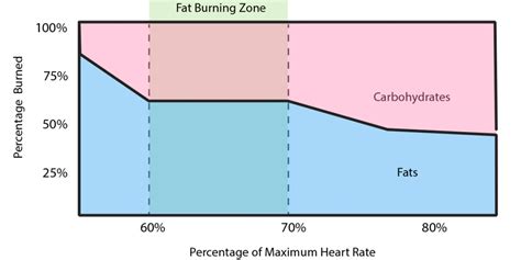 Does Fat Burning Zone Really Work