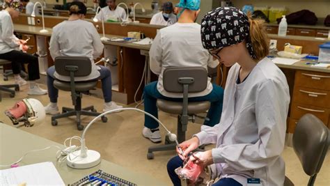 Does Fau Have A Dental Hygiene Program