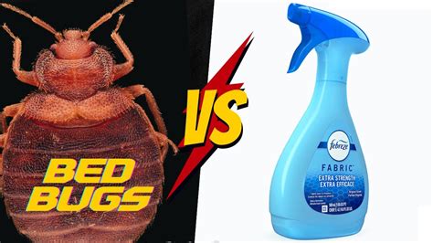 does febreze kill bed bugs