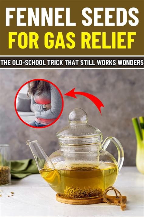 Does Fennel Seed Reduce Gas