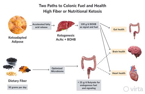 Does Fiber Affect Ketosis