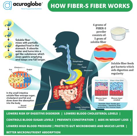 Does Fiber Help Clean Your System