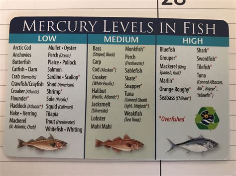 does fish contain high levels of mercury