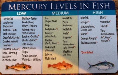 does fish contain high levels of mercury