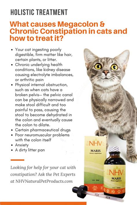 does fish oil help cats with constipation
