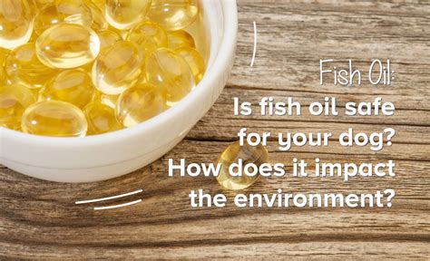 does fish oil help with dog shedding