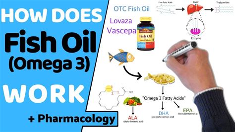 Does Fish Oil Kill Candida