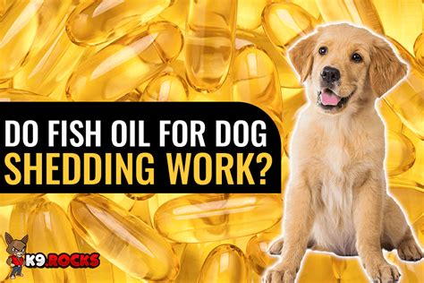 does fish oil work for dog shedding