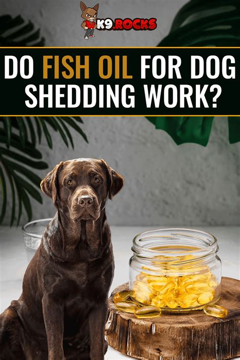 does fish oil work for dog shedding