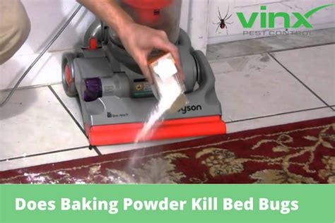 does flea carpet powder kill bed bugs