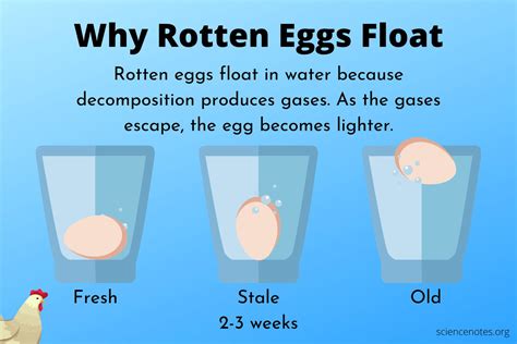 Does Floating Eggs Mean Bad