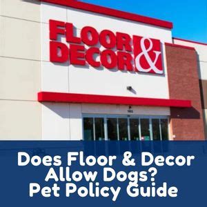 does floor and decor allow dogs in store