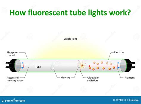 Does Fluorescent Light Work For Plants